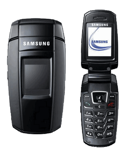 Aparelho Samsung SGH-X300