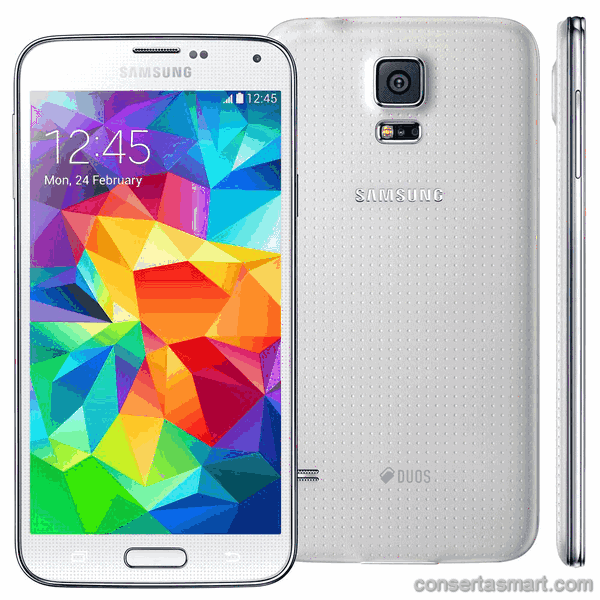 La musica e la suoneria non funzionano Samsung Galaxy S5 Duos