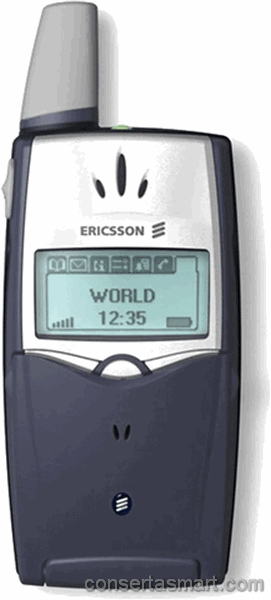 Music and ringing do not work Ericsson T 20