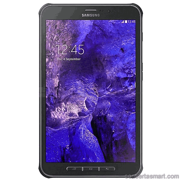 Music and ringing do not work Sansumg Galaxy TAB Active T365