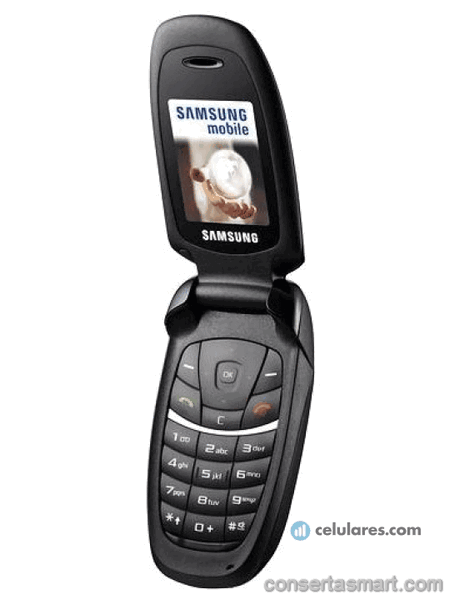 Touch screen broken Samsung SGH-C520