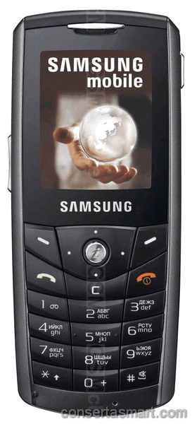 Touch screen broken Samsung SGH-E200