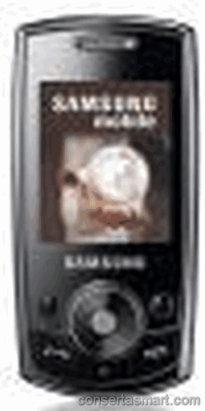 Touch screen broken Samsung SGH-J700