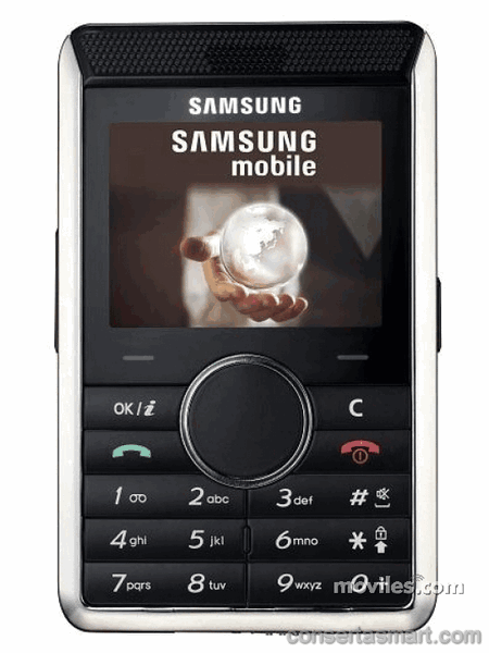 Touch screen broken Samsung SGH-P310