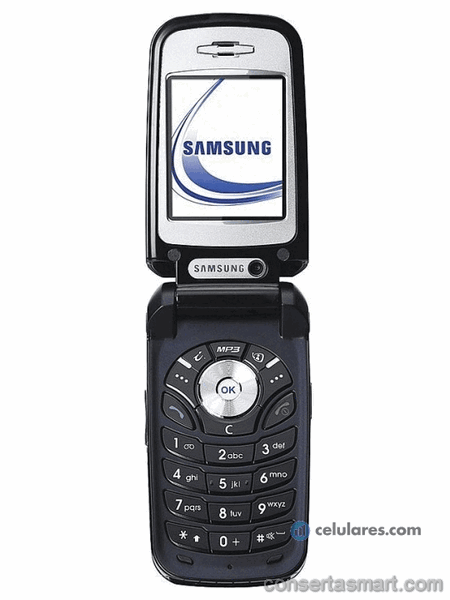 Touch screen broken Samsung SGH-Z310