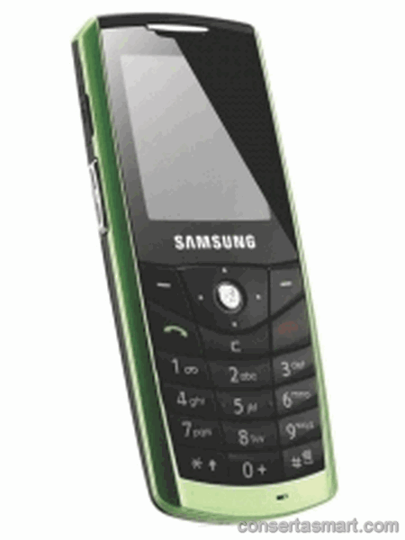 TouchScreen não funciona ou está quebrado Samsung SGH-E200 Eco