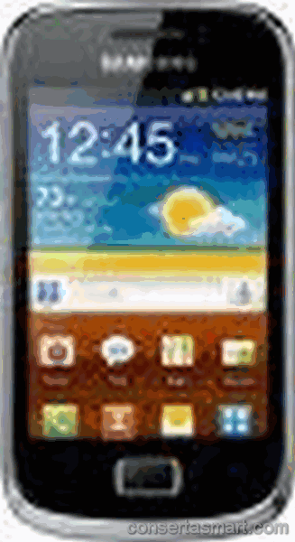 Touchscreen defekt Samsung Galaxy mini 2