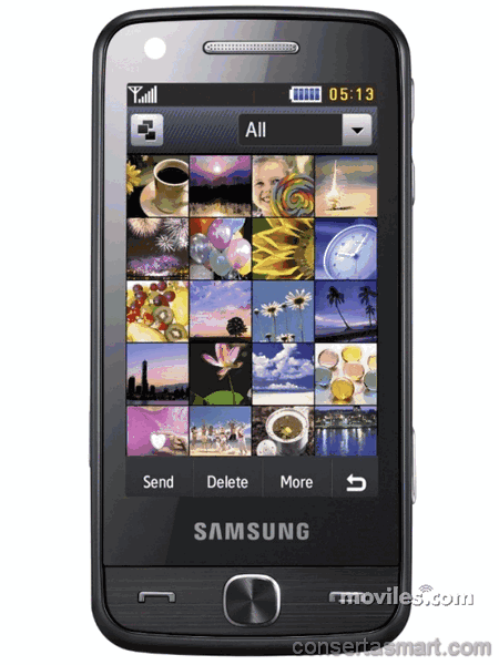 Touchscreen defekt Samsung M8910 Pixon12