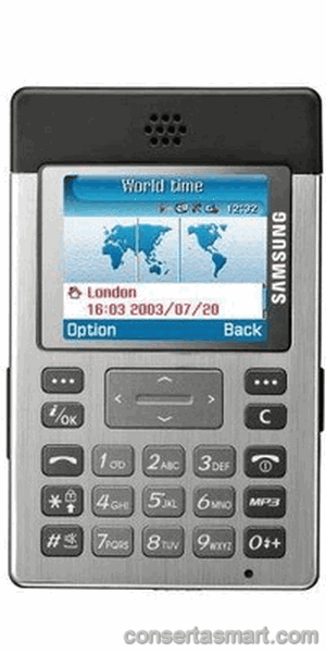 Touchscreen defekt Samsung SGH-P300