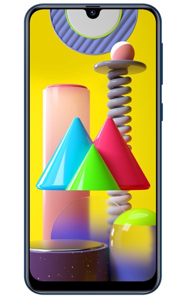 il dispositivo non on si accende Samsung Galaxy M31